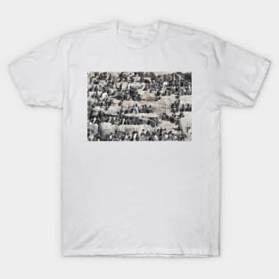 Guillemot terraces on the Farne Islands, Northumberland, UK T-Shirt